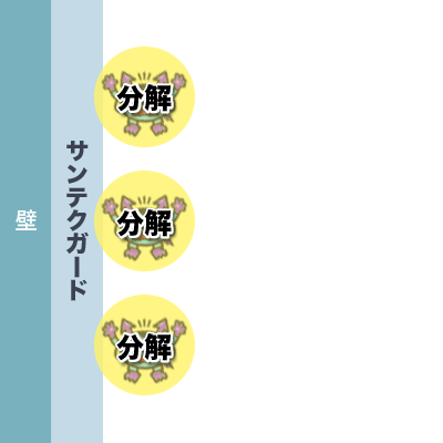 サンテクガード®︎が付着した菌を分解